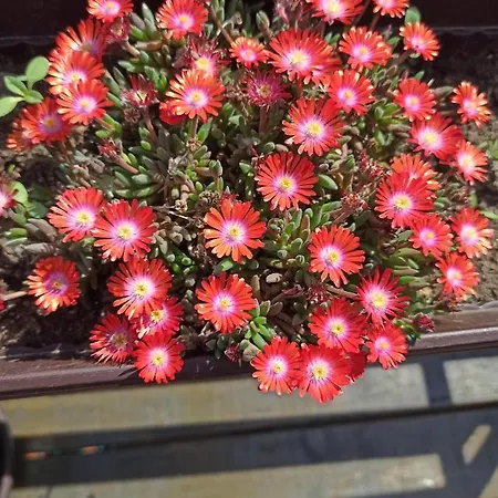 Дом отдыха Sava River House Белград